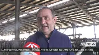 LA PROFEZIA DEGLI ALLEVATORI: «STALLE A RISCHIO,  IL PREZZO DEL LATTE AUMENTERA'» | 10/03/2022