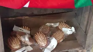 ❤️💚❤️🐴