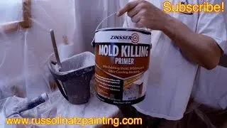 Quickly Kill Mold and Mildew Stains on Bathroom  Ceiling (Part 2)