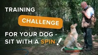 Training Challenge for your Dog - Sit with a Spin!
