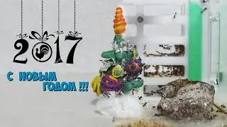 Новогоднее видео 2017!!!🎁 &mdash; Ёлка для муравьёв🎄
