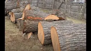 01/12/25 - The Firewood Chronicles- Part 1