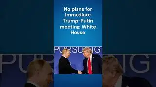 No plans for immediate Trump-Putin meeting: White House.