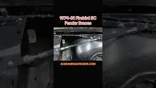 𝟏𝟗𝟕𝟒-𝟖𝟏 𝐅𝐢𝐫𝐞𝐛𝐢𝐫𝐝 𝐒𝐂 𝐅𝐞𝐧𝐝𝐞𝐫 𝐁𝐫𝐚𝐜𝐞𝐬