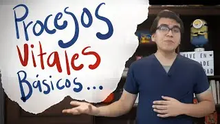 Características del Organismo Humano Vivo | EXPLICACIÓN FÁCIL