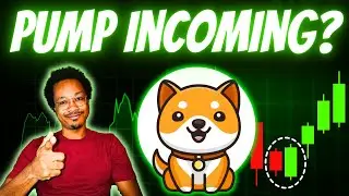 BABY DOGE ARMY: THE NEXT BABY DOGE RALLY WILL HAPPEN AFTER THIS