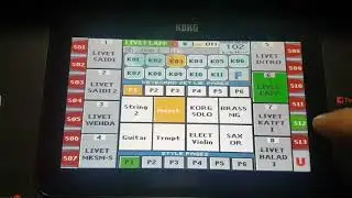 KORG PA4X OR MG2 new live Lebanon