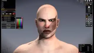 APB Customization Tutorial  - Making Faces