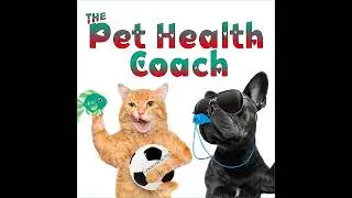 The Pet Health Coach Episode 14 A Pet Parent&rsquo;s Path to The Perfect Diet