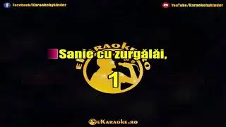 Live colaj » Frumoși sunt căluții tăi/ Trenule / C-o stiu din copilărie « eKaraoke