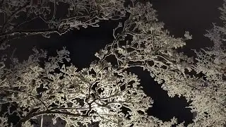Wandering in -25°C in Kouvola, Finland, Europe 
