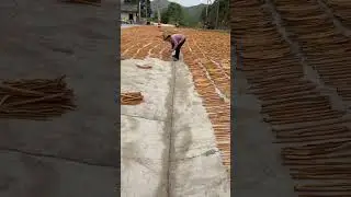 Top Spice Guangxi Organic Good Cinnamon Origin Cheap Wholesale Price #cinnamonprice #organiccinnamon