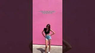 THE PINK WALL