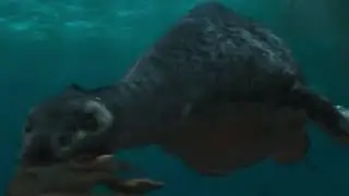 Dinosaur Planet [2003] - Plesiosaur Screen Time