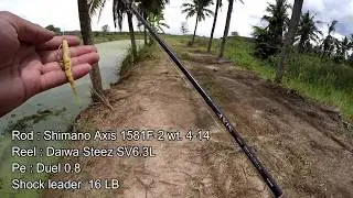 ตกปลาช่อนเล่นหนอนผิวน้ำ2 No sinker rig