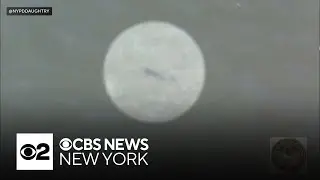 Long Island state parks getting more resources to monitor for sharks