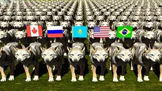 Wolf Population by Country 2025 🐺 | Global Wolf Ranking