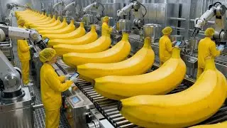 Inside Banana Cake Factory: From Fresh Bananas to Golden Baked Cake (Full Process)
