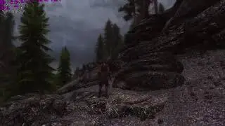 Skyrim SLMP GR  Final low fps