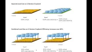How to finance a Solar PV and an AgroVoltaic System?
