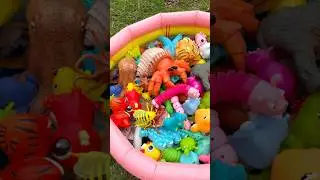 Lots of various Animals Outside! Learn Animal Names for Kids.