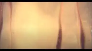 Self Portrait 1  (experimental video film art)