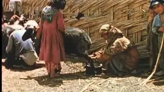 La S&eacute;dentarisation  des tribus turcomanes / Settling the
