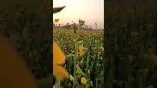 Apurba sundarjo | | Natural Beauty #shorts