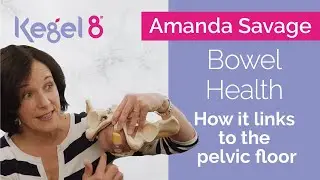 The Link Between Bowel Health and Your Pelvic Floor Muscles | Kegel8 Expert Advice