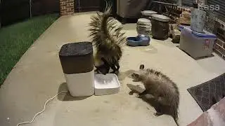 OPOSSUM vs SKUNK