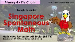 Primary 4: Pie Charts