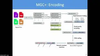 Novel Efficient Codes for Correcting Random Edit Errors in DNA Storage