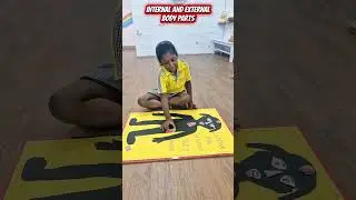 🧩 Learning Body Parts, Building Bright Minds!