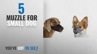 Top 5 Muzzle For Small Dog [2018 Best Sellers]: Small Quick Fit Dog Muzzle, Size 1, fit snout size