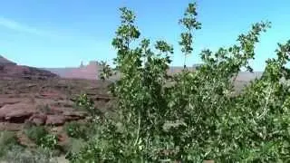 Fisher Towers 1