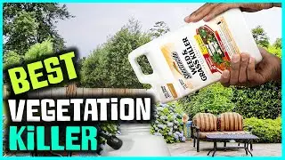 Best Vegetation Killer in 2023 - [Top 5 Review and Buying Guide]