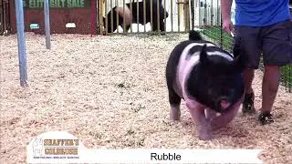 Rubble