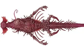 Scorn: Parasite