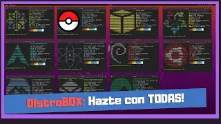 Distrobox 🥡 ¿Qué es 🚀 Por Qué usarlo y Cómo?