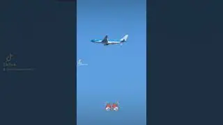 Can you zoom from your phone? ✈️ #youtubeshorts #airplane #viralshort #trendytariq