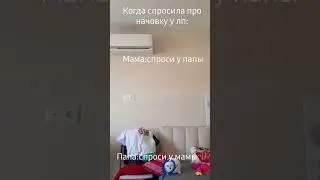 24 мая 2023 г.