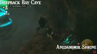 Anedamimik Shrine Walkthrough - A Retraced Path Puzzle Solution | Zelda: Tears of the Kingdom