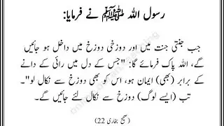 Faraz Haider is live