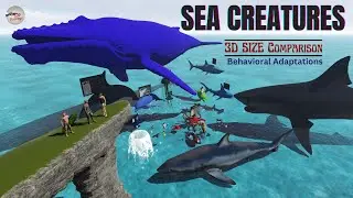 Sea Creatures Behavioral Comparison ( Class, Scientific Classification)|| Animal Size Comparison 3D