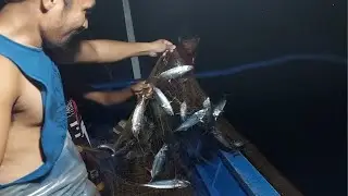 Kumpulan ang mga isda sa lambat | night fish hunting | grabe daming isda