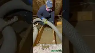 🌱How important is to remove attic insulation?