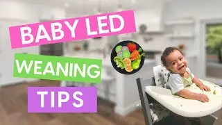 BABY LED WEANING // The Best And Easiest Way To Get Started For Success // blw tips and tricks