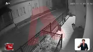 Θάνατος 17χρονου στη Βοιωτία: Βίντεο με τα τελευταία δευτερόλεπτα της καταδίωξης και ο πυροβολισμός