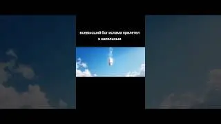 шах и мат кяфиры #ислам #свинья #хряк #аллах #бог #всевышний #халяль