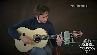 Amarosa Model - Melposa guitars